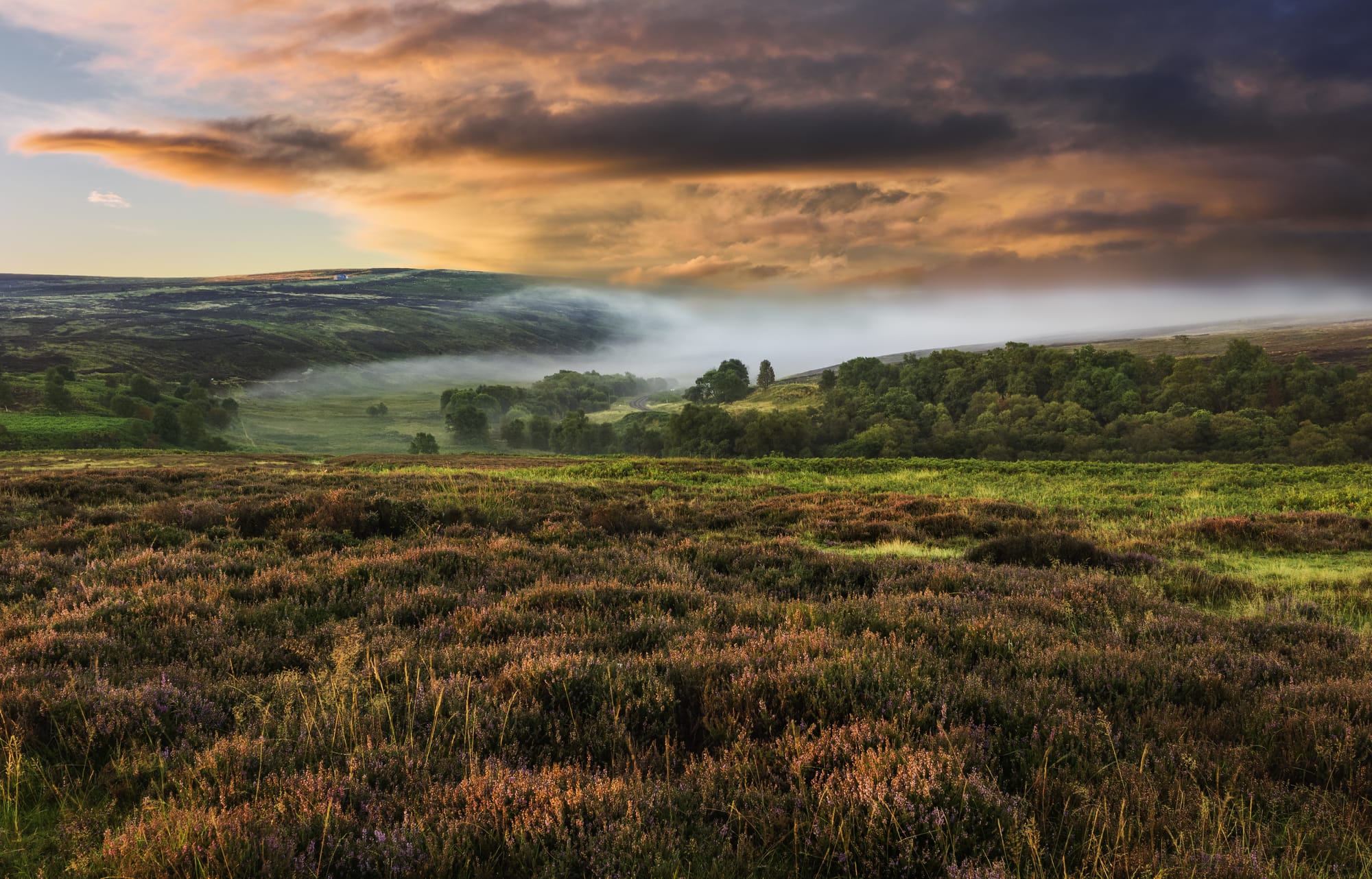 Things to Do in Goathland: Your Ultimate Guide to the North Yorkshire Moors Gem