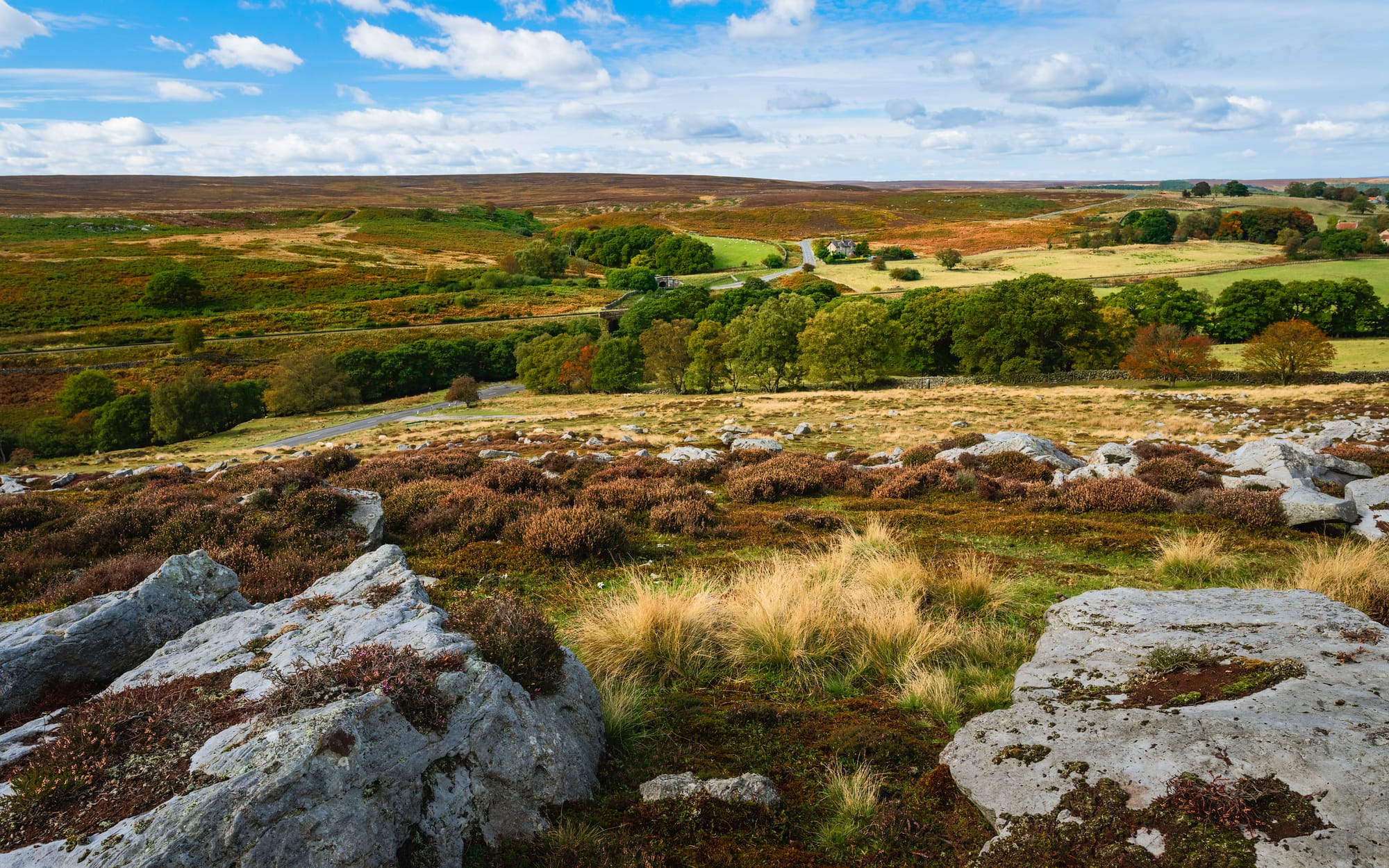 Things to Do in Goathland: Your Ultimate Guide to the North Yorkshire Moors Gem