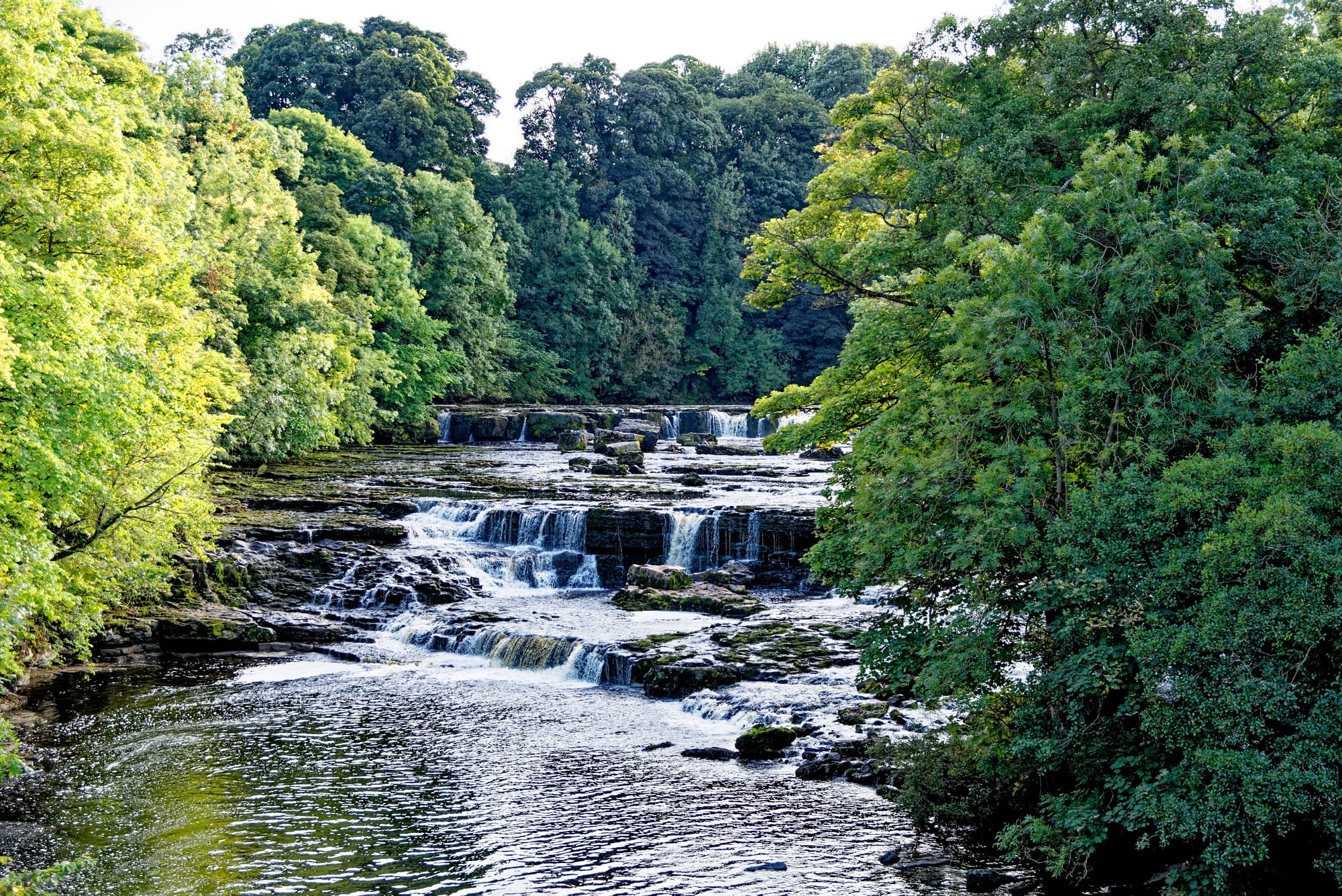 Things to Do in Masham:A Local’s Guide to Yorkshire’s Best-Kept Secrets