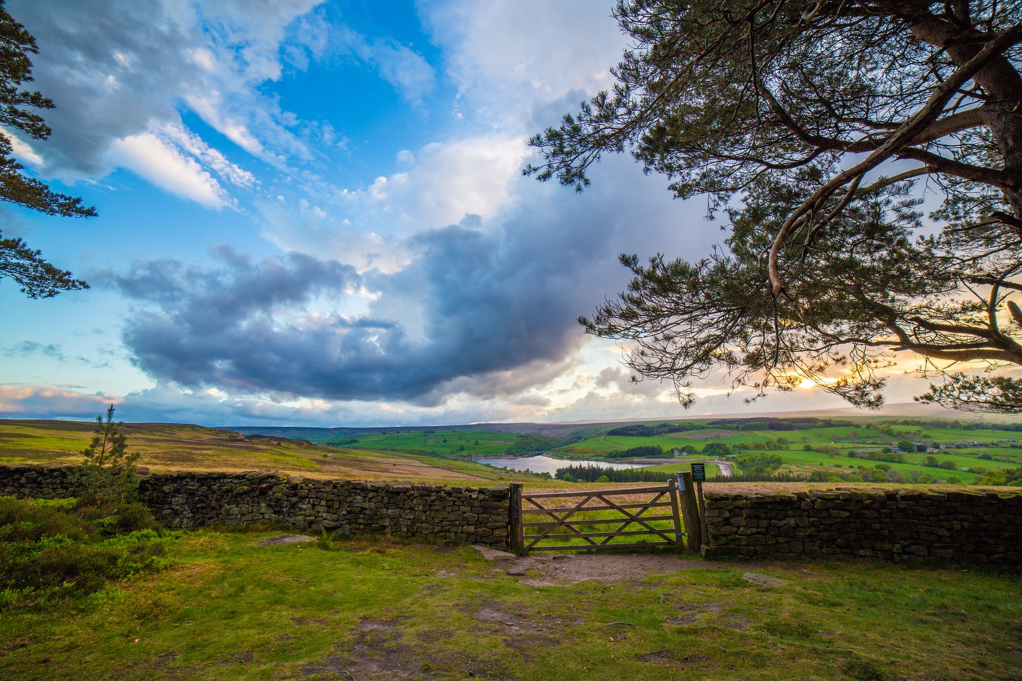 Things to Do in Masham:A Local’s Guide to Yorkshire’s Best-Kept Secrets