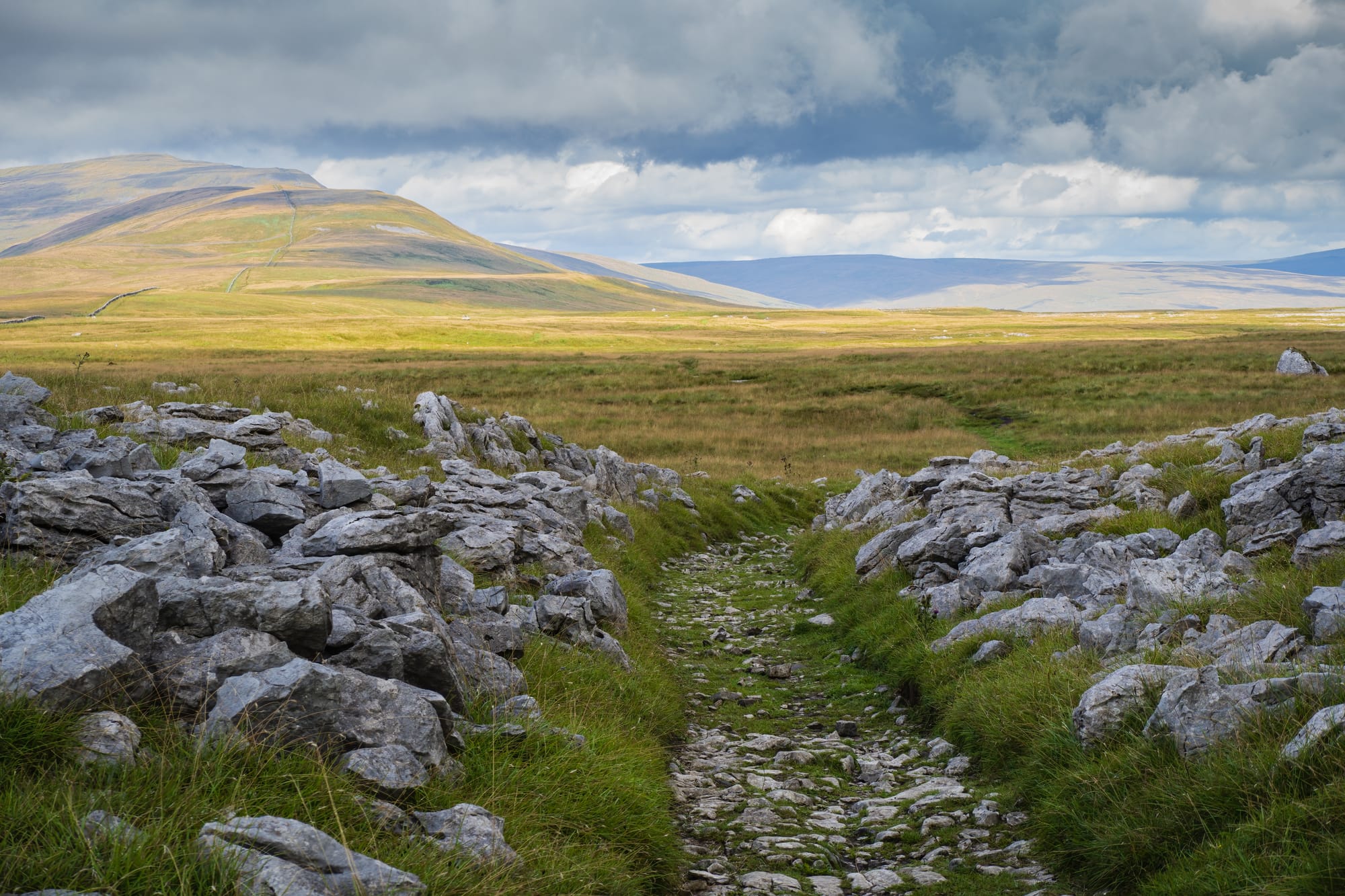 Things to Do in Settle: Your Ultimate Guide to Exploring This Charming Market Town