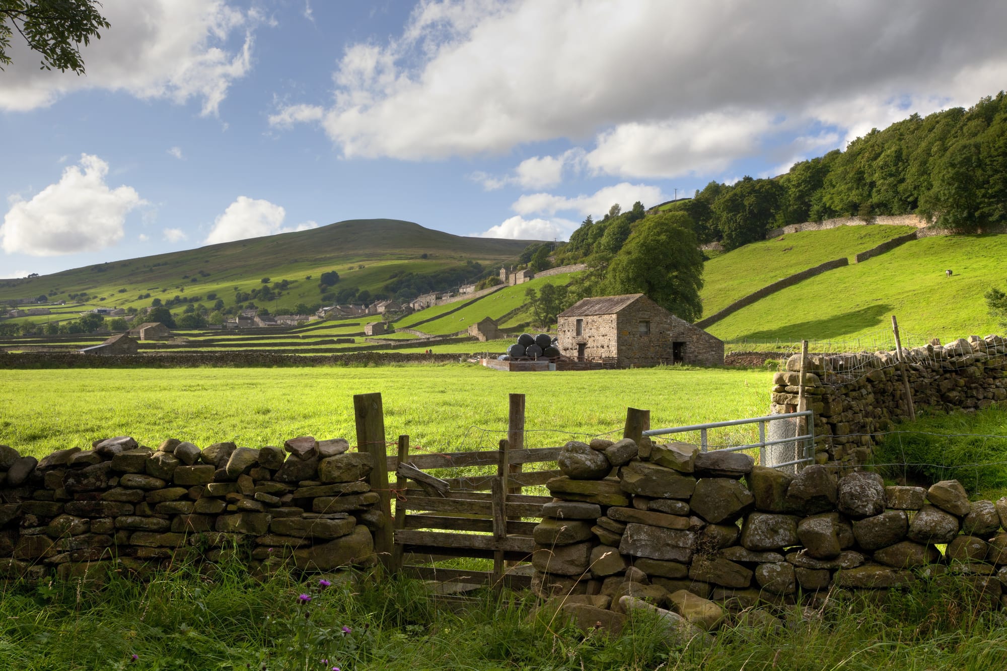 Things to Do in Wensleydale: Uncovering Yorkshire's Hidden Gems