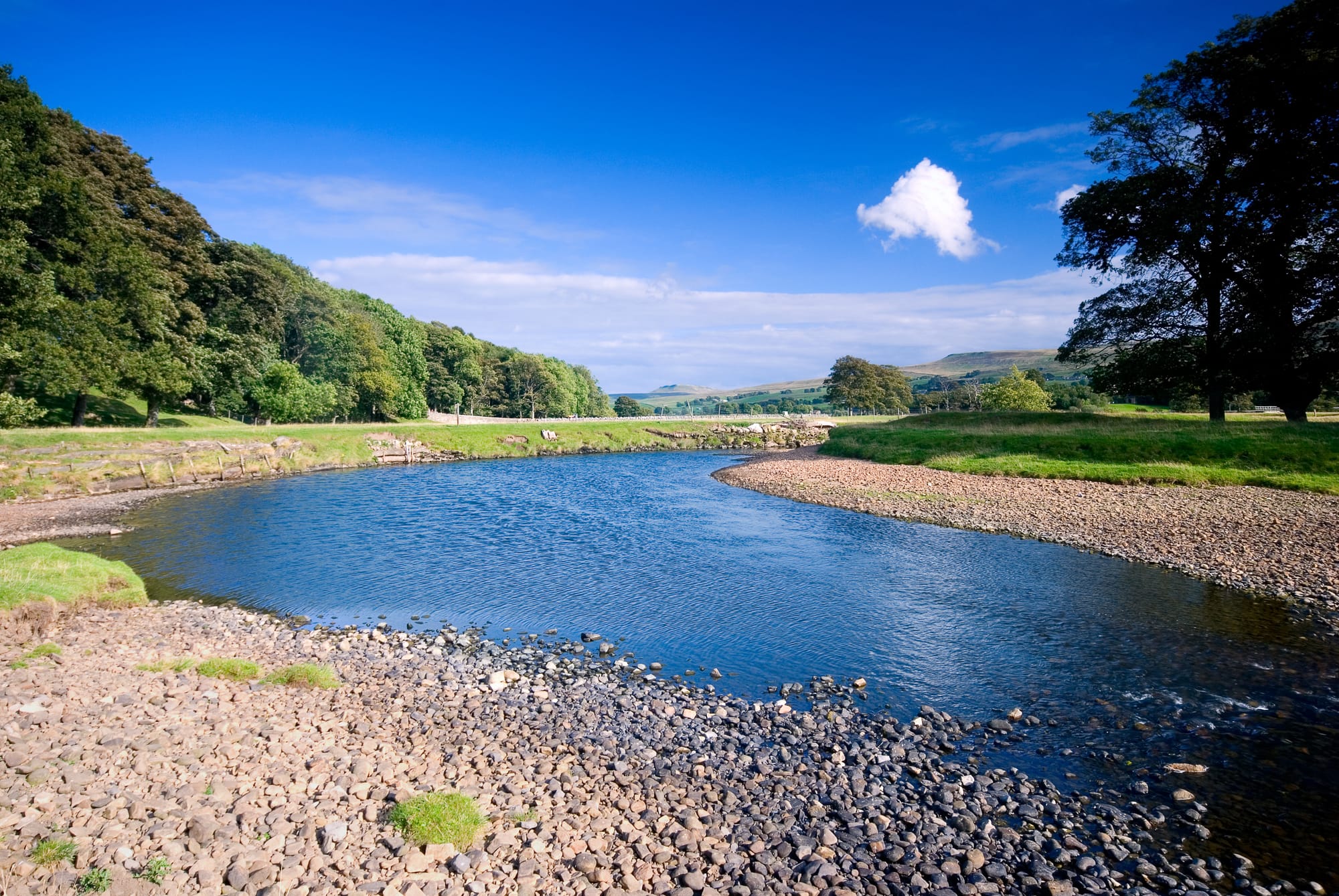 Things to Do in Wensleydale: Uncovering Yorkshire's Hidden Gems