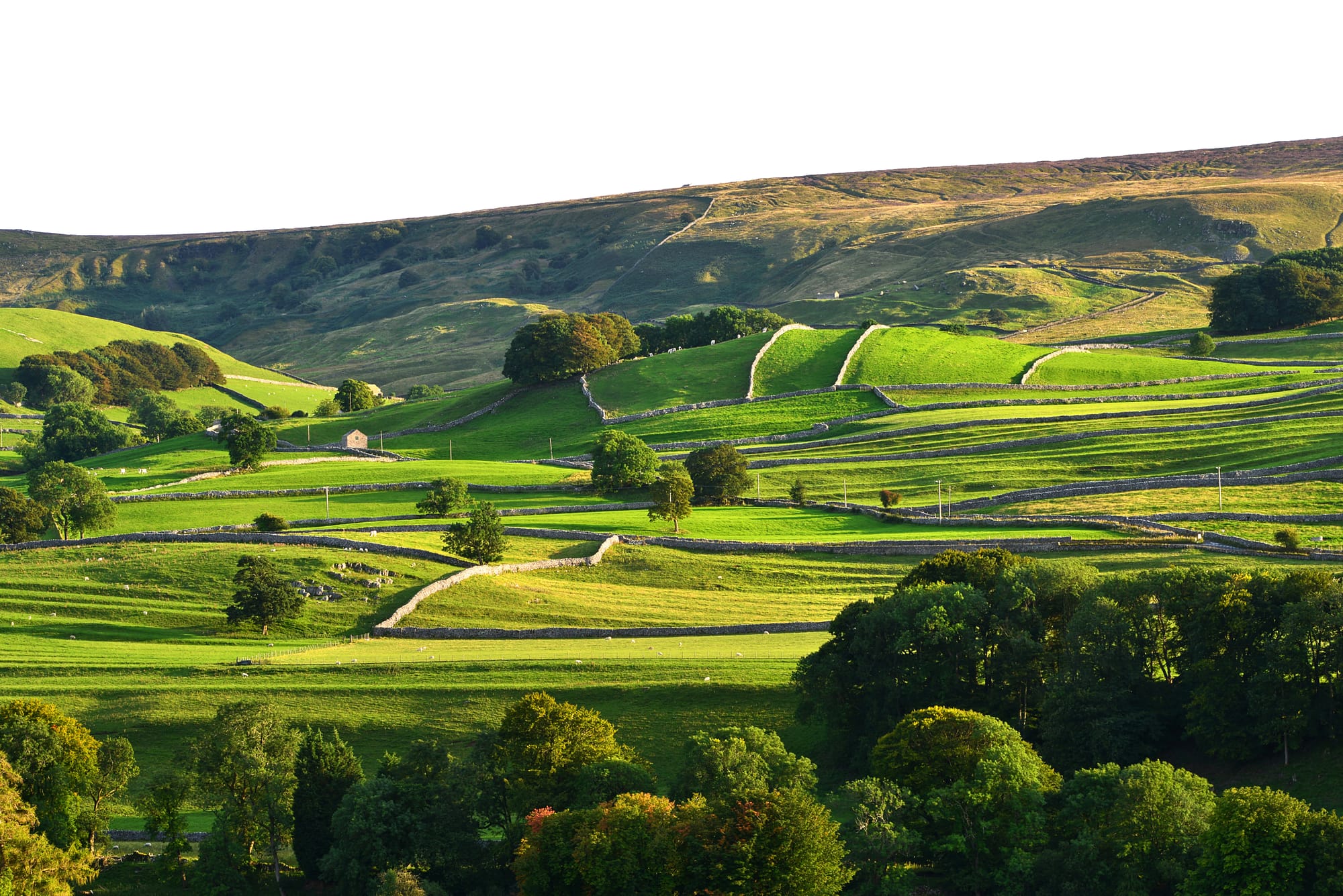 Things to Do in Grassington: A Guide to Exploring this Yorkshire Gem