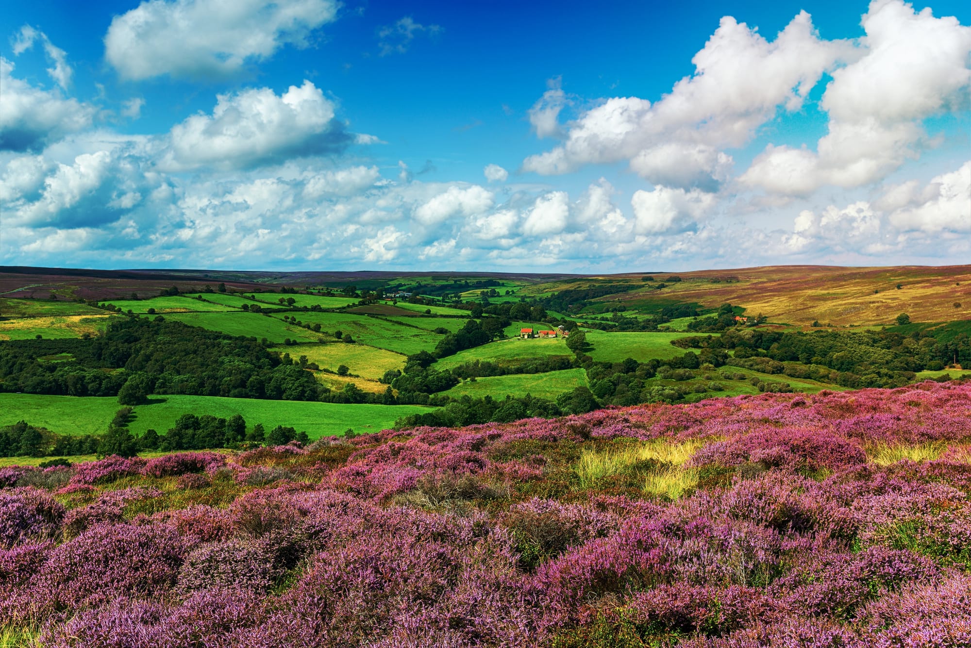 10 Circular Walks in North Yorkshire