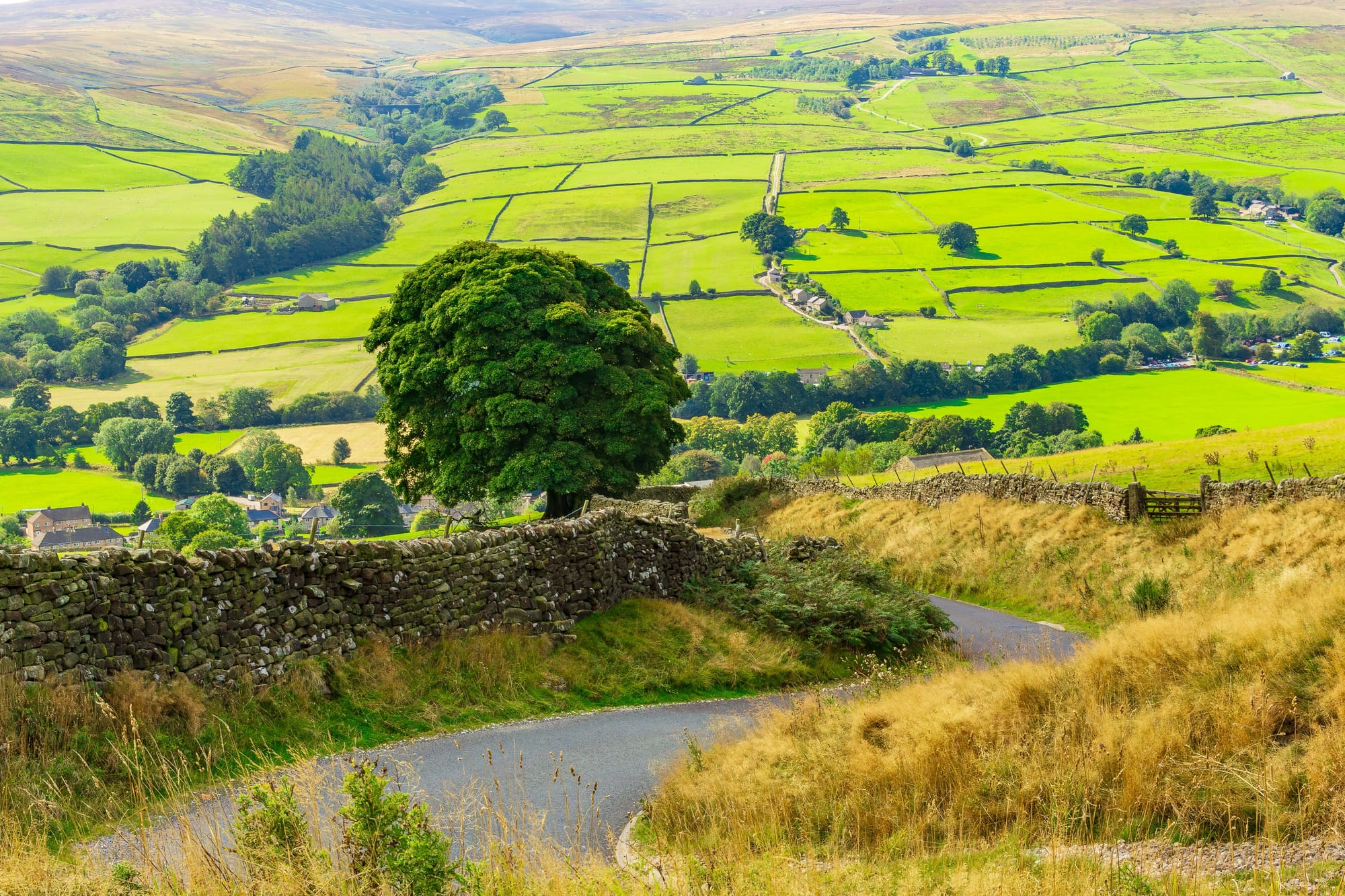 Pateley Bridge Walks: Scenic Routes Through Nidderdale
